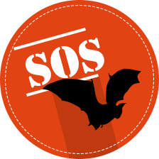 SOS chauves-souris